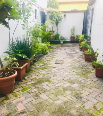 Departamento en renta en Coyoacán - foto 2