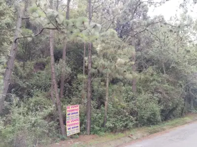 Terreno en venta en Tlalpan - foto 5
