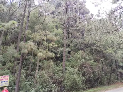 Terreno en venta en Tlalpan - foto 2