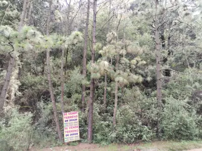Terreno en venta en Tlalpan - foto 3