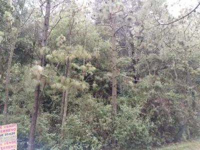 Terreno en venta en Tlalpan - foto 4