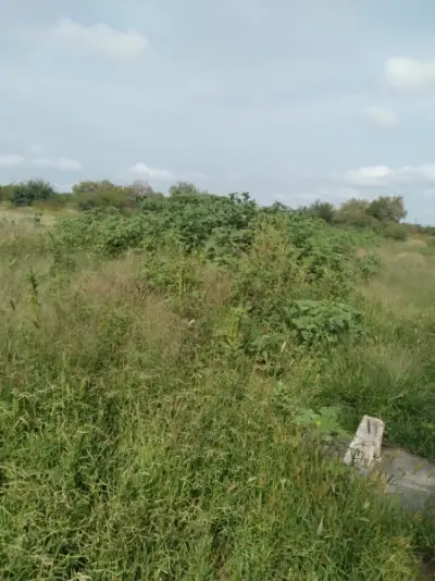 BUEN TERRENO EN VENTA ZONA SUR