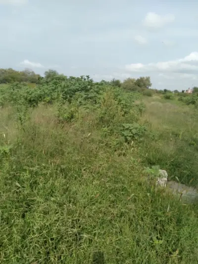 Terreno en venta en Aguascalientes - foto 3