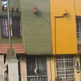 Casa en venta en Cuautitlán - foto 2