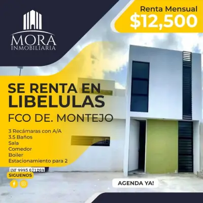 RENTA DE CASA EN FRANCISCO DE MONTEJO MERIDA YUCATAN 