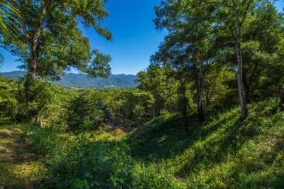 Lote - Tierra Alta - El Tuito