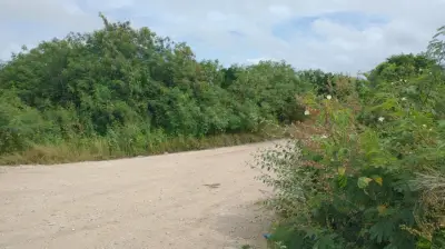 Terreno en venta en Telchac Pueblo - foto 3