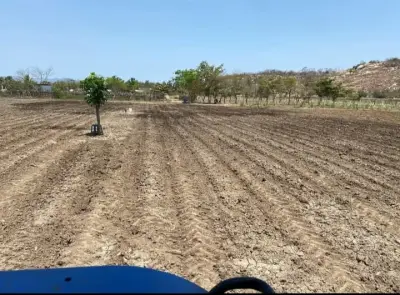 14 hectáreas / rancho / huerta /