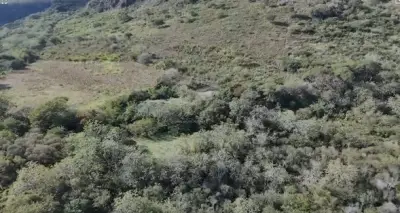 Terreno en venta en Actopan - foto 4