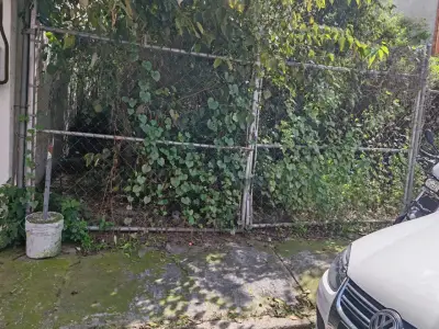 Terreno en venta en Coyoacán - foto 3