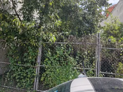 Terreno en venta en Coyoacán - foto 2