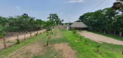 Terreno en venta en Tzimol - foto 3