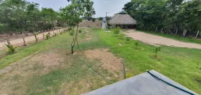 Terreno en venta en Tzimol - foto 2