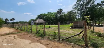 Terreno en venta en Tzimol - foto 5