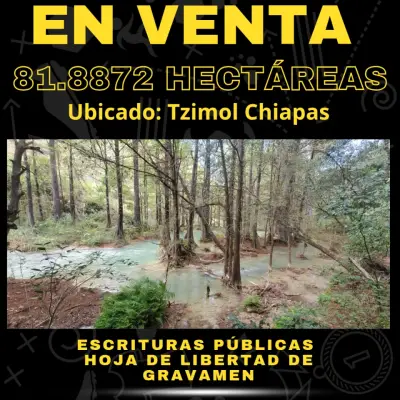 En venta 81.88 hectáreas ubicado en Tzimol chiapas