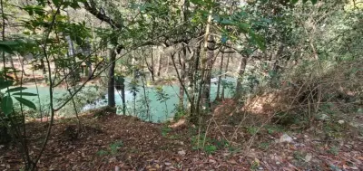 Rancho en venta en Tzimol - foto 4