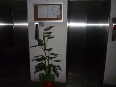 Departamento a 5 min. de Televisa San Angel