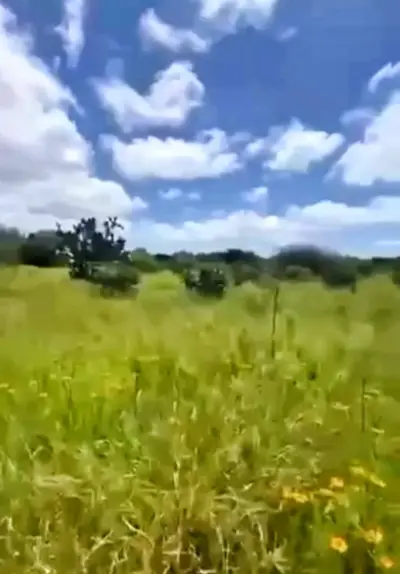 Terreno en venta en Colón - foto 4