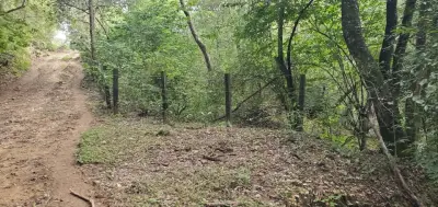 Rancho en venta en Tzimol - foto 3