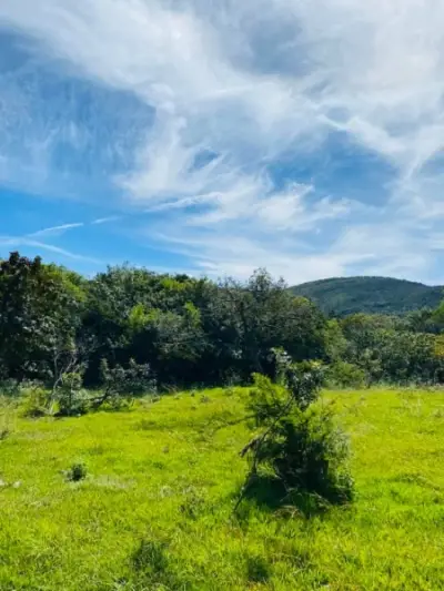 Rancho de 81.8872 hectareas en venta cuenta con rio y arroll
