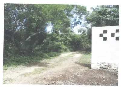 Terreno en venta en Puerto Morelos - foto 3