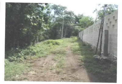 Terreno en venta en Puerto Morelos - foto 4
