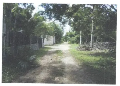 Terreno en venta en Puerto Morelos - foto 5