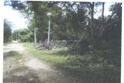 Terreno en venta en Puerto Morelos - foto 2