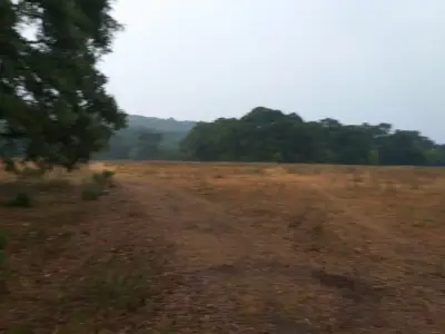 Terreno en venta en Jilotepec de Abasolo - foto 2
