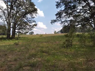 Terreno en venta en Jilotepec de Abasolo - foto 4