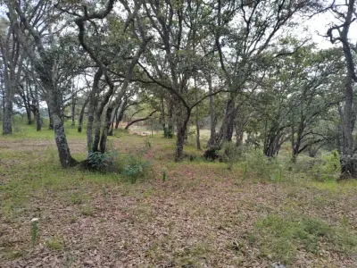 Terreno en venta en Jilotepec de Abasolo - foto 5