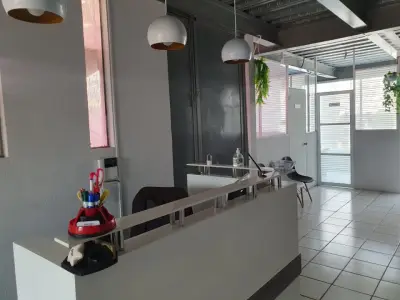 OFICINA AMUEBLADA EN MUNDO E DISPONIBLE