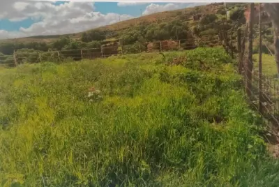 Terreno en venta en Pánuco - foto 3