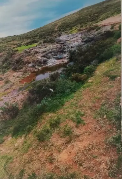 Terreno en venta en Pánuco - foto 2