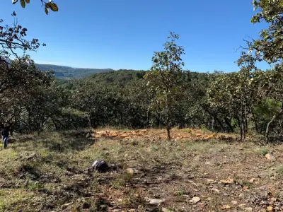 Terreno en venta en Tapalpa - foto 5