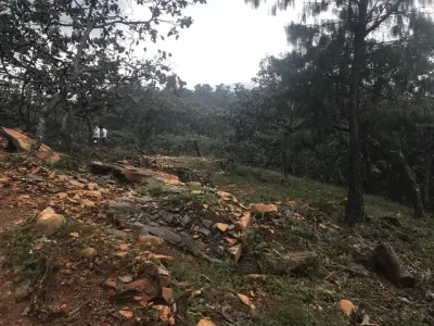 Terreno en venta en Tapalpa - foto 2