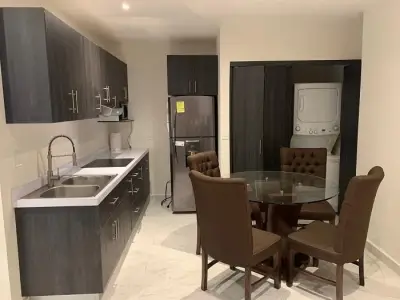 Departamento en venta en Apodaca - foto 4