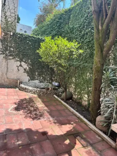 Casa en venta en Coyoacán - foto 3