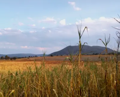 Terreno en venta en San Juan del Río - foto 3