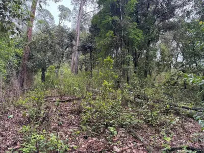 Terreno en venta en Valle de Bravo - foto 2