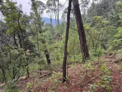 Terreno en venta en Valle de Bravo - foto 4