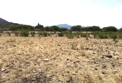 Terreno en venta en San Juan del Río - foto 4
