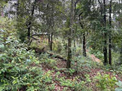 TERRENO EN AVANDARO, VALLE DE BRAVO, ESCRITURADO