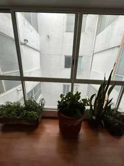 Departamento en venta en Tlalpan - foto 2