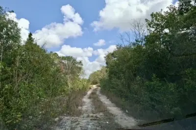 Terreno en venta en Cancun - foto 4