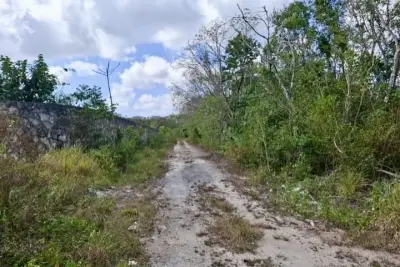 Terreno en venta en Cancun - foto 5