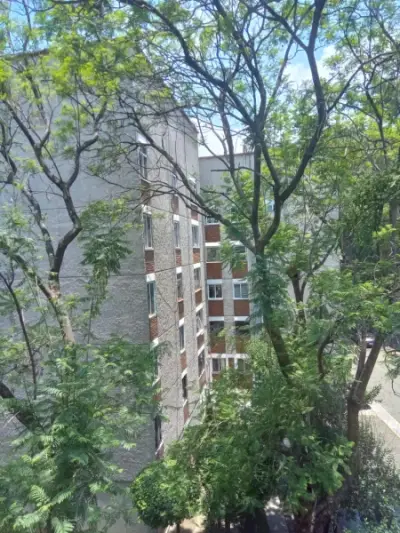 Departamento en venta en Tlalpan - foto 4