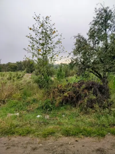 Terreno en venta en Juan C Bonilla - foto 2