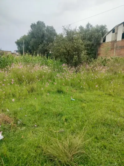 Terreno en venta en Juan C Bonilla - foto 4