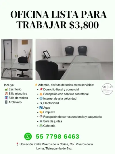 LA MEJOR MANERA DE ESTABLECER TU PRESENCIA EMPRESARIAL